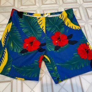 Vintage 1980s Blue Jams Shorts